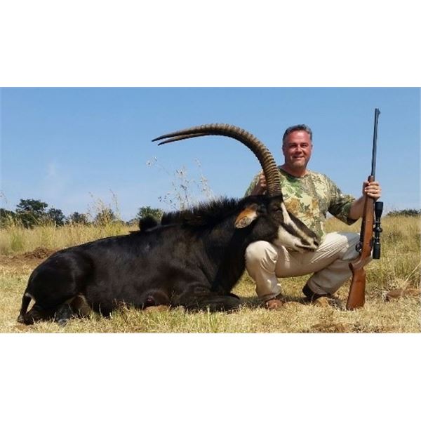 South Africa – 7 Day -Plains Game Safari Four Hunters