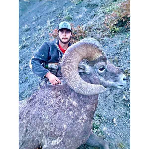 Alberta - 10 Day- Rocky Mountain Big Horn Sheep Hunt for One Hunter