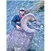 Image 1 : Alberta - 10 Day- Rocky Mountain Big Horn Sheep Hunt for One Hunter