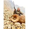 Image 3 : Alberta - 10 Day- Rocky Mountain Big Horn Sheep Hunt for One Hunter
