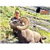 Image 5 : Alberta - 10 Day- Rocky Mountain Big Horn Sheep Hunt for One Hunter