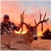 Image 1 : *Kansas – 5 Day - Archery Whitetail Deer Hunt for One Hunter