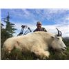 Image 1 : British Columbia – 10 Day – Mt. Goat Hunt for One Hunter