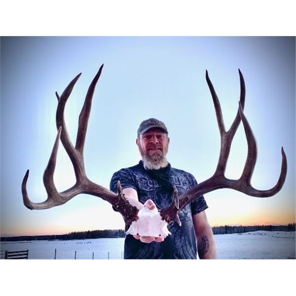 *Alberta – 6 Day – Mule Deer/ Whitetail Deer and Wolf Hunt for One Hunter