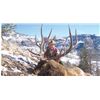 Image 1 : *Wyoming – 8 Day Rocky Mountain Elk Hunt for One Hunter