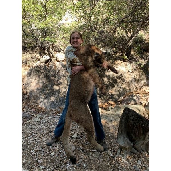 *Arizona - 5 Day Mountain Lion Hunt for One Hunter