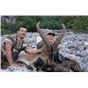 Image 2 : Spain – 5 Day/7 Night  - Two Species of Spanish Ibex Hunt for One Hunter
