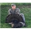 Image 1 : *Kansas – 2 1/2 Day Eastern Turkey Hunt for Two Hunters