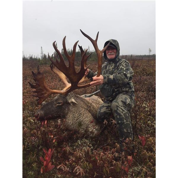 Newfoundland – 5 Day – Woodland Caribou Hunt for One Hunter