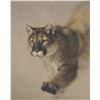 Image 1 : Doyle Hostetler - Ambush