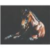 Image 1 : Adeline Halvorson - Into the Light