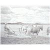 Image 1 : Don Greytak - Big Sky Homesteader