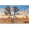 Image 1 : Naomi Brown - Winter Sky Joshua Tree