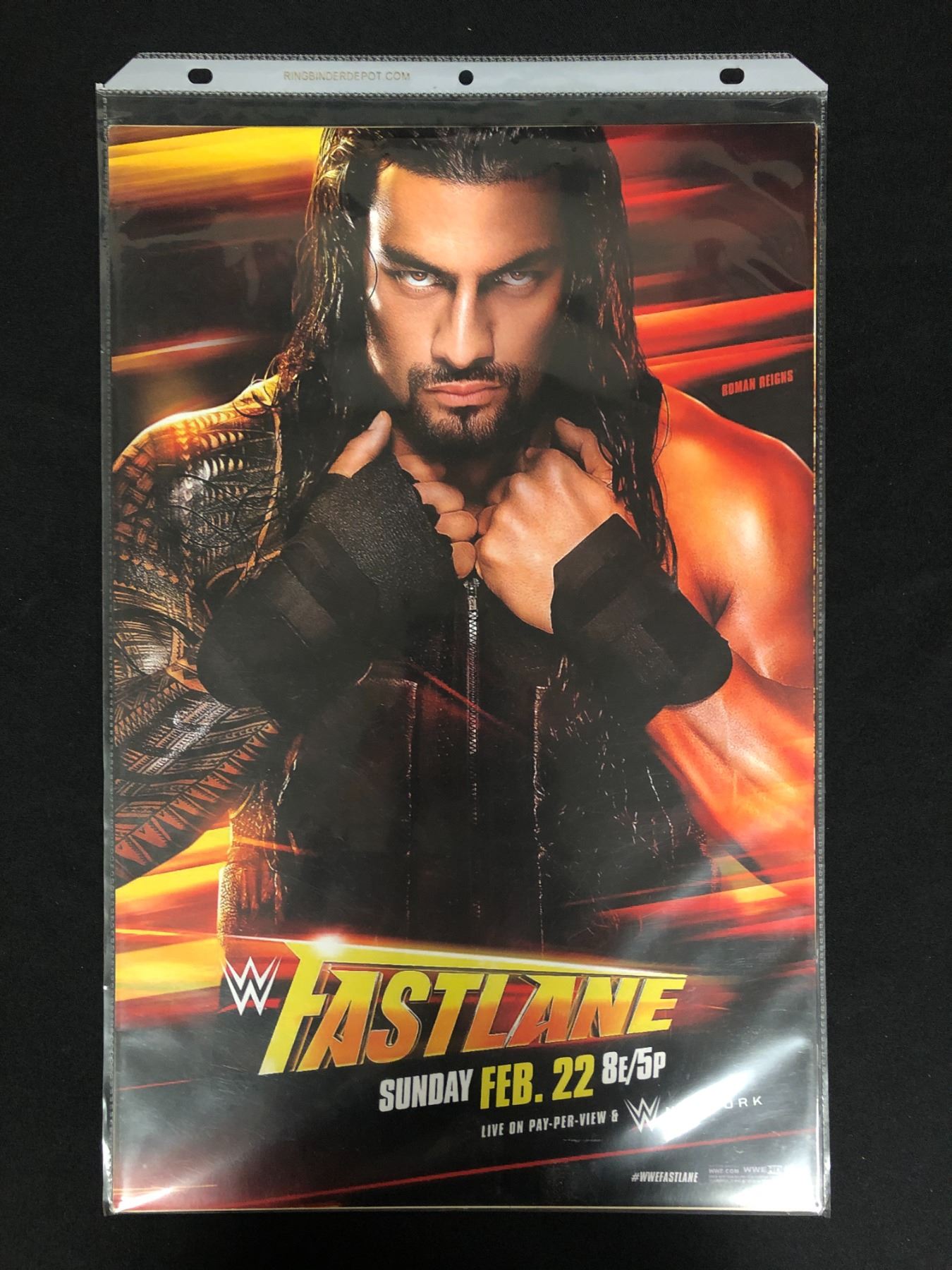 WWE FASTLANE 8X10 WRESTLING POSTER