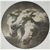 Image 6 : A Collection of Framed Decorative Items,