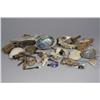 Image 1 : A Collection of Shells and Minerals.