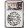 Image 1 : 2021-(P) Type 1 $1 American Silver Eagle Coin NGC MS69 Early Release Emergency Issue