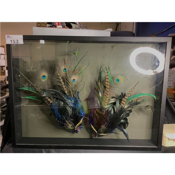 SHADOWBOX WITH 2 MARDI GRAS MASK VENETIAN MASQUERADE FEATHER MASKS