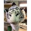 Image 1 : ANIMAL HEAD BACKPACK