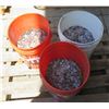 Image 1 : Qty 3 Buckets of Pennies from Water Fountain, Dates Unknown