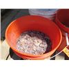 Image 2 : Qty 3 Buckets of Pennies from Water Fountain, Dates Unknown