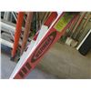 Image 8 : Werner Red Metal 10- Step Ladder