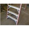 Image 2 : Red Metal 10- Step Ladder