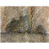 Image 2 : BROOKLYN SHAG AREA RUG 64X90" (HAS LARGE STAIN)