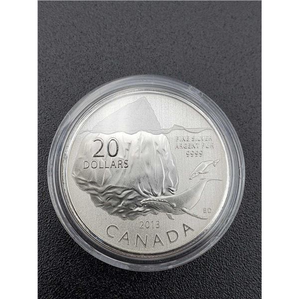 2013 Royal Canadian Mint "Iceberg" Limited Mintage 99,99% Silver $20 Coin