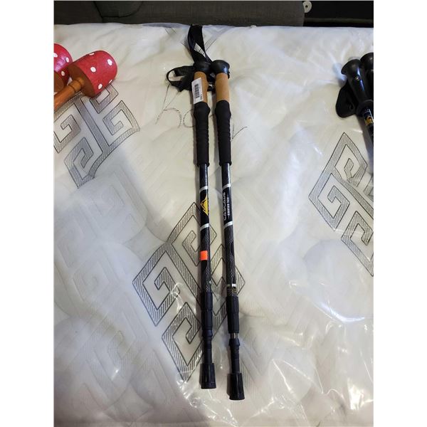 Set of extendable Walking Poles  - Cascade mountain tech