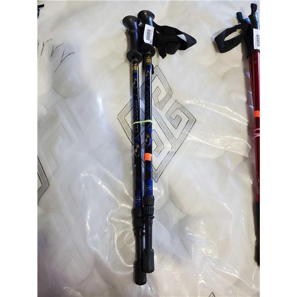 Set of extendable Walking Poles - Summit