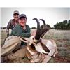Image 6 : SPECIAL ARIZONA STATEWIDE ANTELOPE TAG