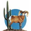 Image 1 : ARIZONA DESERT BIGHORN SHEEP SOCIETY LIFE MEMBERSHIP