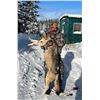 Image 1 : ONTARIO WOLF HUNT PLUS ICE FISHING FOR 2
