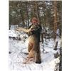 Image 2 : ONTARIO WOLF HUNT PLUS ICE FISHING FOR 2