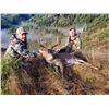Image 3 : OREGON COLUMBIAN BLACKTAIL DEER HUNT