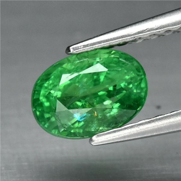 The Most Valuable 1.00ct 6.5x4.6mm Oval Natural Green Tsavorite Garnet, Tanzania