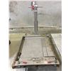 Image 2 : *FL* METTLER TOLEDO DECKMATE MOBILE INDUSTRIAL FLOOR SCALE
