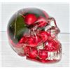 SKULL WITH CHERRIES INSIDE