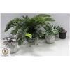 Image 1 : 4 SHOW HOME DECOR PLANTS