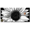 Image 1 : NEW 3PC BLACK & WHITE SUNFLOWER DESIGNER ARTWORK