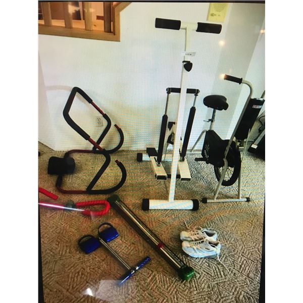 Assortment of Exercise Equipment Including: Ab Roller, Sportex Stepper 1000 Elliptical, Flyte Tensio