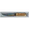Image 1 : Very Rare Henley & Co. Stag Handle Hunting Knife