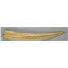 Image 3 : Scrimshaw Etched Tusk