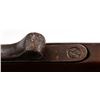 Image 9 : Engraved G.P. Foster Percussion Musket