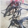 Image 4 : 2 SPORT RACK TRUNK MOUNT BIKE CARRIERS