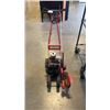 Image 2 : SNAPPER GAS EDGER