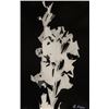 Image 1 : Hungarian Photogram Paper Signed G. Kepes