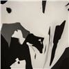 Image 5 : Hungarian Photogram Paper Signed G. Kepes