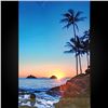 Image 1 : Beautiful Photograph on Metal from Private Collection 30"x20"
